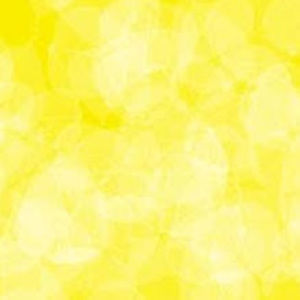 Meet your Posher, Ella d